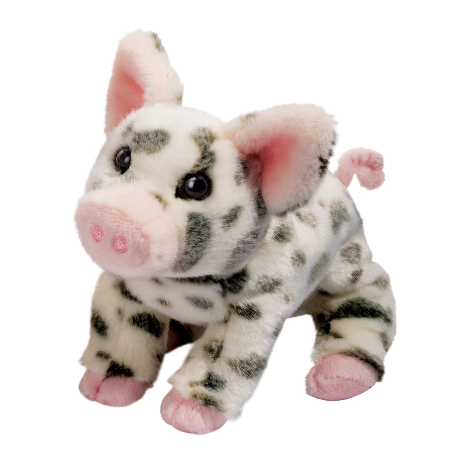 Pauline Black Spotted Pig