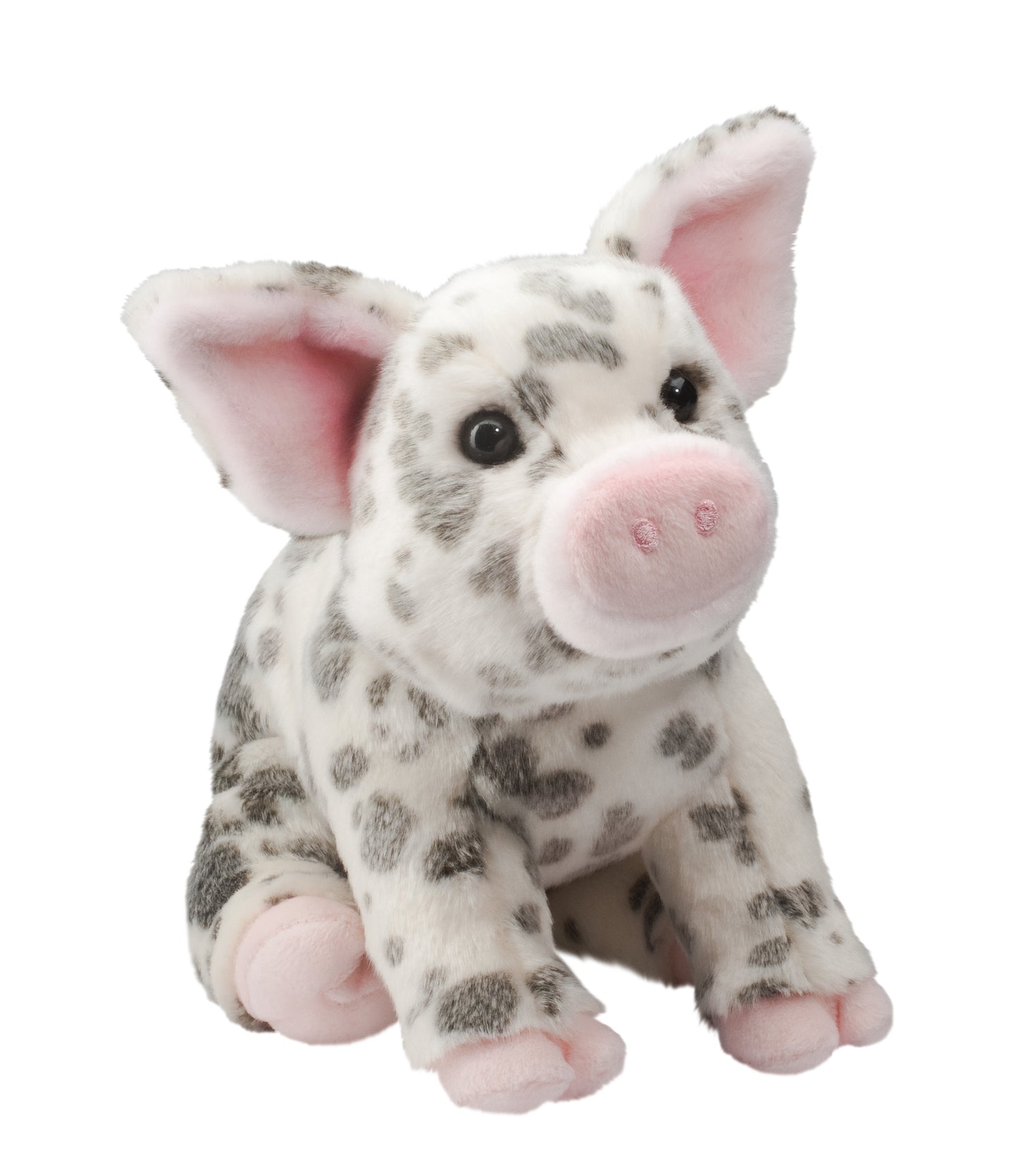 Pauline Black Spotted Pig, Medium