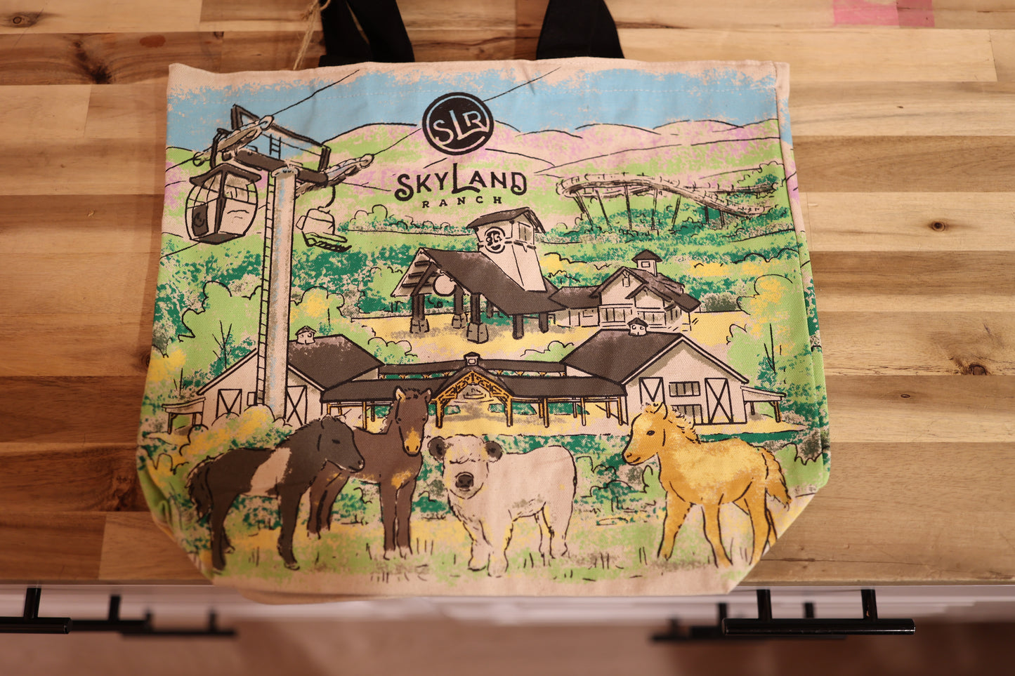 Skyland Ranch Ariel View of Park Shopper Tote #6037