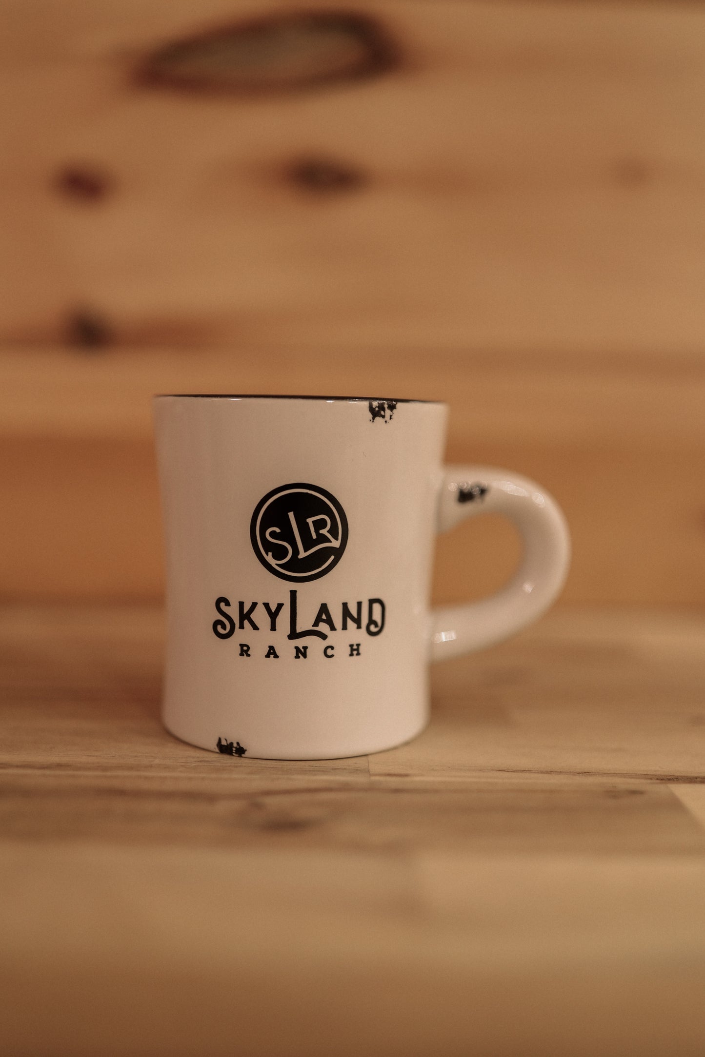 Skyland Ranch Vintage Black Mug #7198