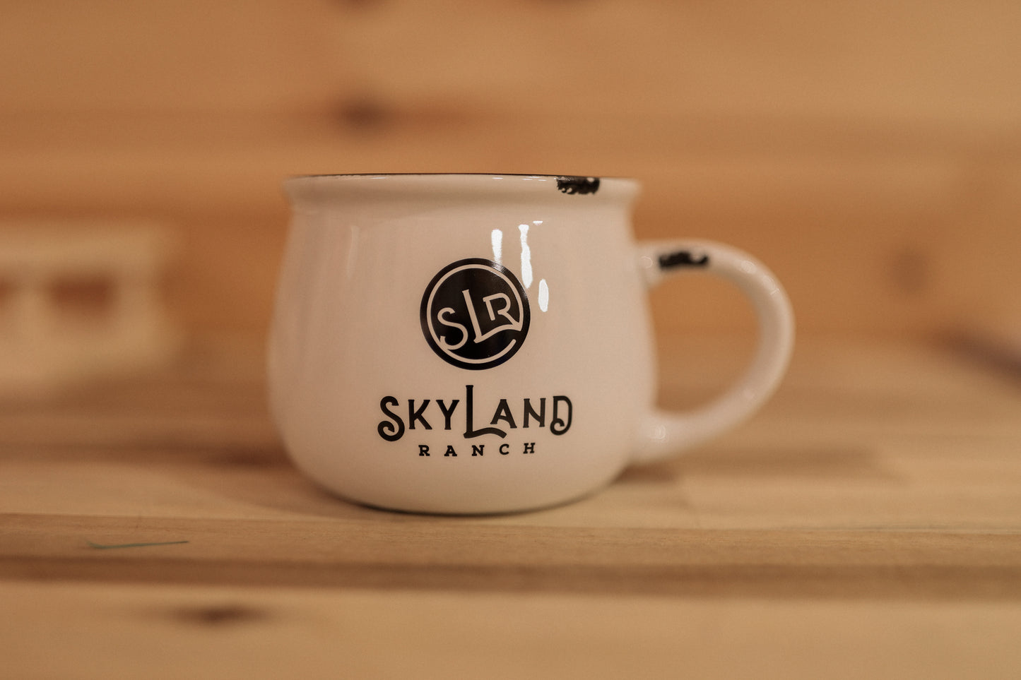 Skyland Ranch Vintage Black Mug #7199