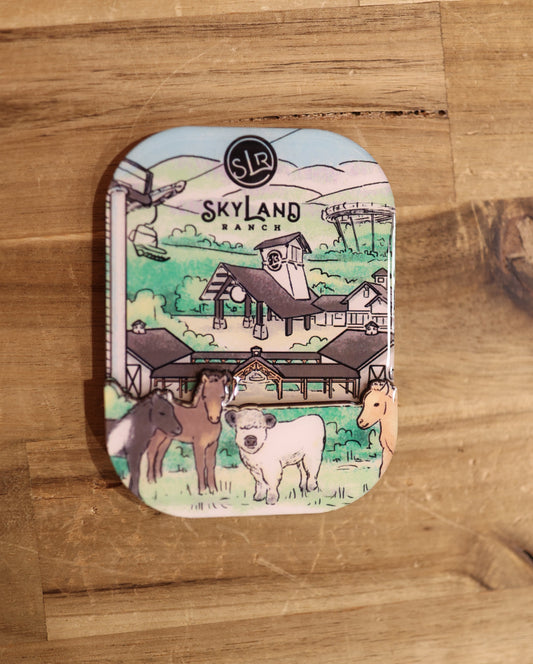 Skyland Ranch Ariel View of Park Magnet #6185